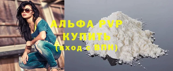 стаф Аркадак