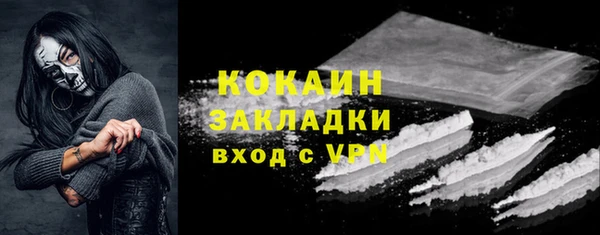стаф Аркадак