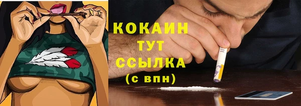 стаф Аркадак