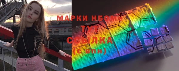стаф Аркадак